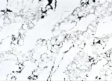 Arabescato Black